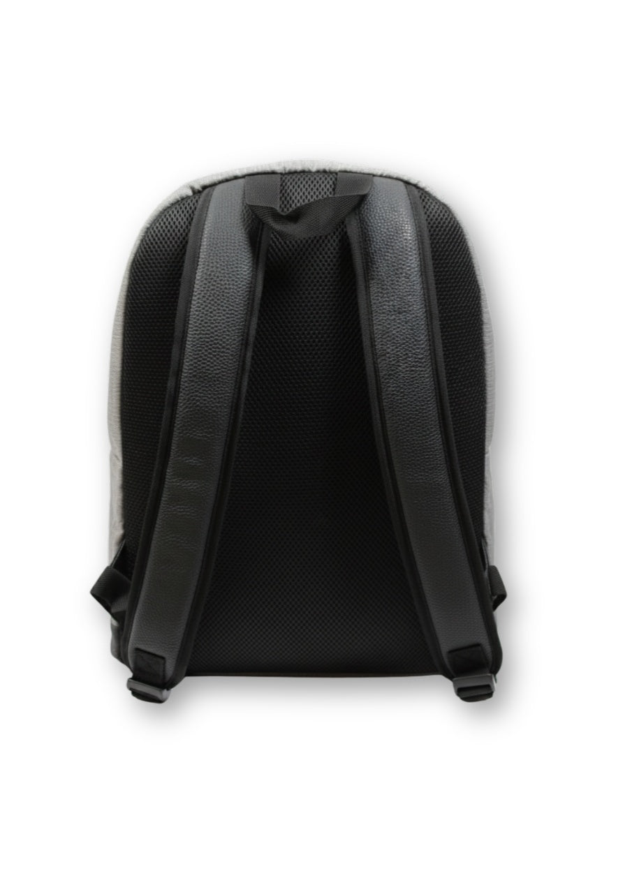 DKNY Business Travel Laptop Backpack Daypack for Men, Women & Teens (DKNY-5119) | Color Grey